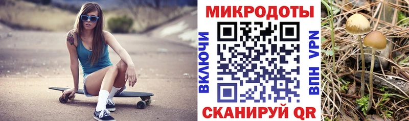 Галлюциногенные грибы Magic Shrooms  закладка  Красноуральск 